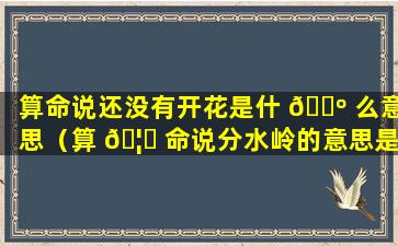 算命说还没有开花是什 🐺 么意思（算 🦟 命说分水岭的意思是好还是坏）